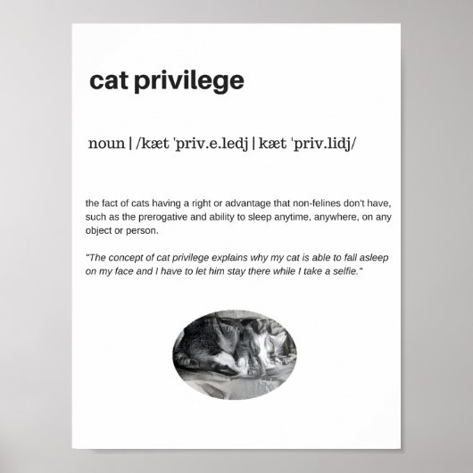 Cat privilege funny quote white poster (Vorne)