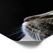 Cat Profile Poster (Ecke)