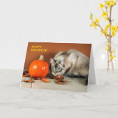 Cat & Pumpkin Birthday Card Karte (Gelbe Blume)