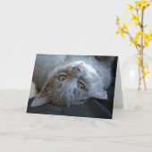 Cat Purday Card Karte (Gelbe Blume)