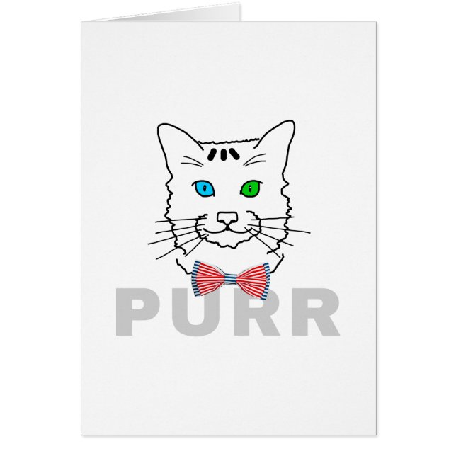 Cat Purr (Vorne)