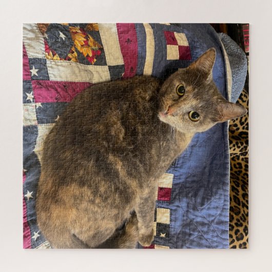 Cat Puzzle (Horizontal)