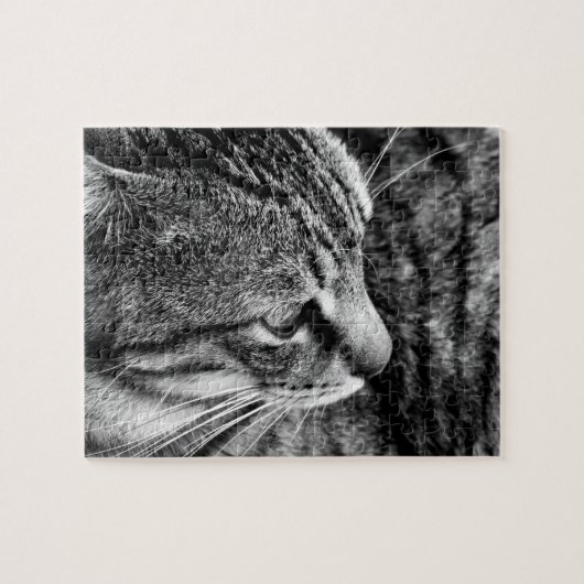 Cat Puzzle (Horizontal)