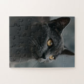 Cat Puzzles (Horizontal)