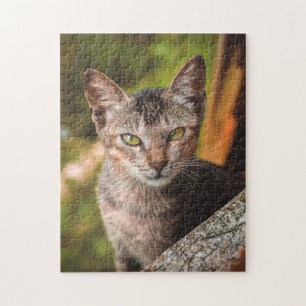 Cat Puzzles Cat Kitten Fotografie Tierische Grafik