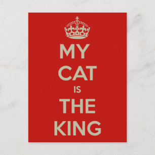 Cat Qoute Postkarte