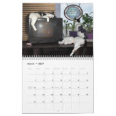 Cat Quotes 😽 Illustriert Calendar Kalender (Mär 2027)