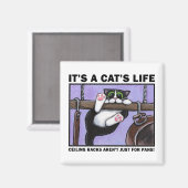 Cat Rack v.01 - Es sind Lebensmagnete einer Katze Magnet (Vorderseite/Rückseite)