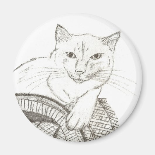 Cat Ragdoll Portrait Magnet (Vorne)