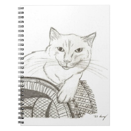Cat Ragdoll Portrait-Notebook Notizblock (Vorderseite)