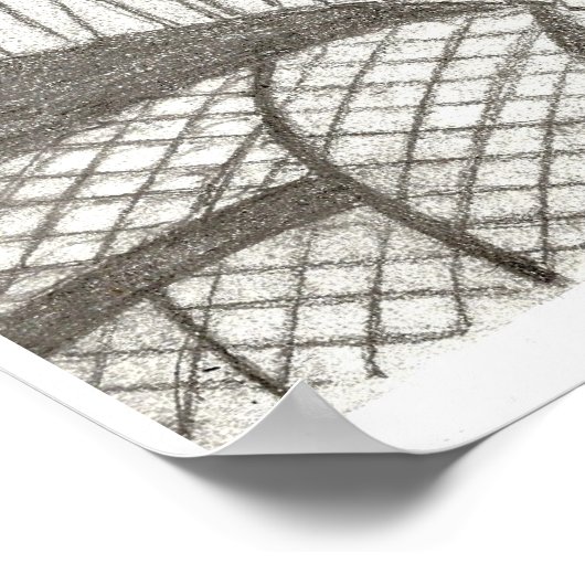 Cat Ragdoll Portrait Poster (Ecke)