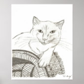 Cat Ragdoll Portrait Poster (Vorne)