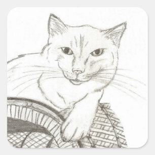 Cat Ragdoll Portrait Square Stickers - Set von 20