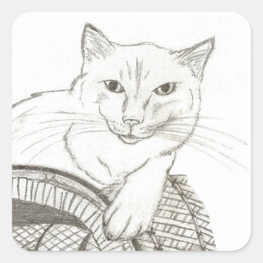 Cat Ragdoll Portrait Square Stickers - Set von 20 (Vorderseite)