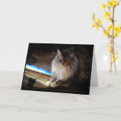 Cat Rainbow Bridge - Beileidsnote oder Gruß Karte (Gelbe Blume)