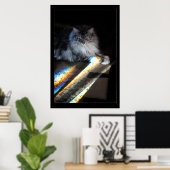 Cat Rainbow Bridge Foto Poster (Heimbüro)