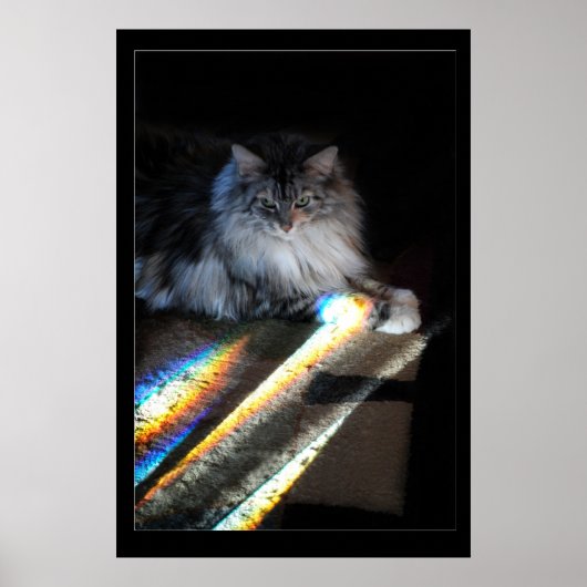 Cat Rainbow Bridge Foto Poster (Vorne)