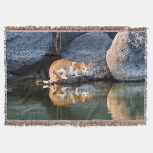 Cat Reflection in Pond Water Funny Foto - Decke