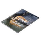 Cat Reflection in Pond Water Funny Foto - Notizblock (Linke Seite)