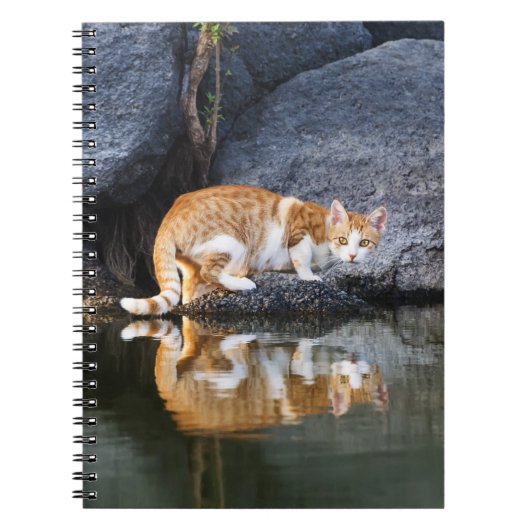 Cat Reflection in Pond Water Funny Foto - Notizblock (Vorderseite)