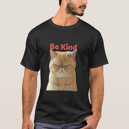 Cat Reminder Choose O Be Kind Everyday Graphics T-Shirt (Vorderseite)