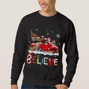 Cat Riding Red Truck Weihnachtsbaum glauben Santa Sweatshirt