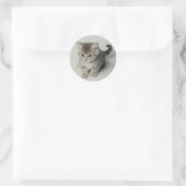 CAT RUNDER AUFKLEBER (Tasche)
