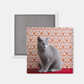 Cat (Russian blue) and wallpaper background Magnet (Vorderseite/Rückseite)