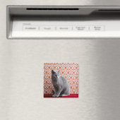 Cat (Russian blue) and wallpaper background Magnet (In Situ (Geschirrspüler))