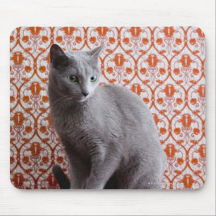 Cat (Russian blue) and wallpaper background Mousepad