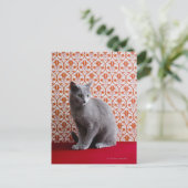 Cat (Russian blue) and wallpaper background Postkarte (Stehend Vorderseite)
