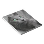 Cat Russian Blue Look Eyes Grau Pet Notizblock (angewinkelt)