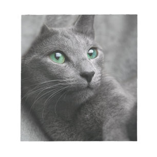 Cat Russian Blue Look Eyes Grau Pet Notizblock
