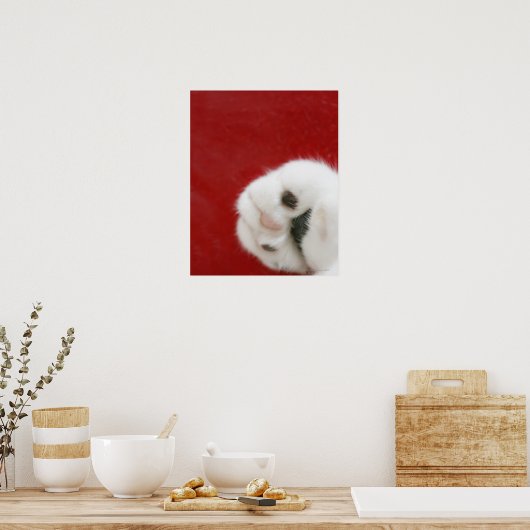 Cat’s paw poster (Küche)