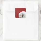 Cat’s paw quadratischer aufkleber (Tasche)
