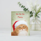 Cat Santa Claus Feiertagspostkarte (Stehend Vorderseite)