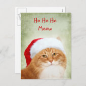 Cat Santa Claus Feiertagspostkarte (Vorne/Hinten)