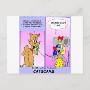 Cat Scams Funny Gifts T-Shirts & Sammlerstücke Postkarte