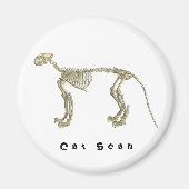 Cat Scan Skeleton Magnet (Vorne)