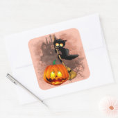 Cat Scared by Pumpkin Fun Halloween Charakter Quadratischer Aufkleber (Umschlag)