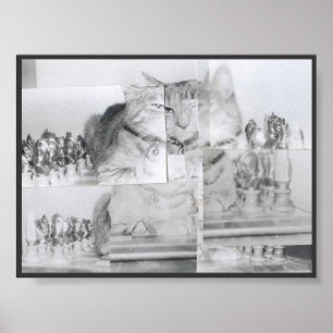 Cat Schach Poster