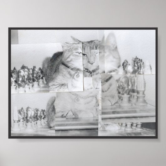 Cat Schach Poster (Vorne)