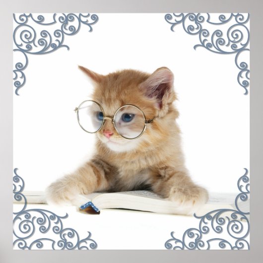 Cat Scholar Poster (Vorne)