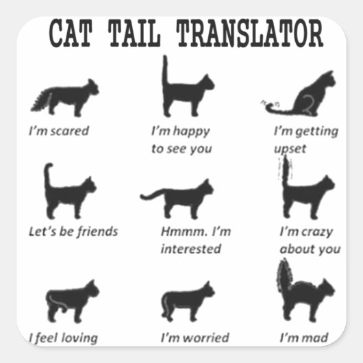 CAT SCHWANZ TRANSLATOR SQUARE STICKER (Vorderseite)