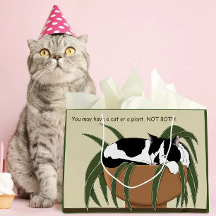 Cat Schwarz-weiß Pflanze Funny Große Geschenktüte