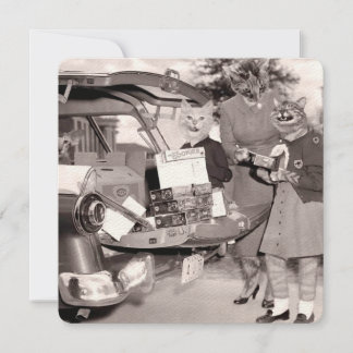 Cat Scout Cookies zum Verkauf! Flache Grußkarte Karte