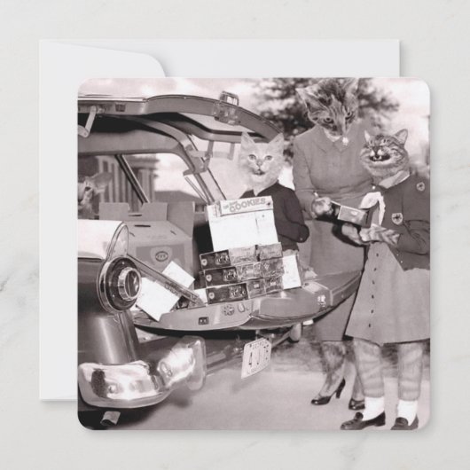 Cat Scout Cookies zum Verkauf! Flache Grußkarte Karte (Vorderseite)