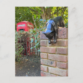 Cat Sculpture, London UK Postcard Postkarte