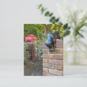 Cat Sculpture, London UK Postcard Postkarte (Stehend Vorderseite)