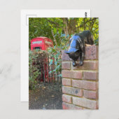 Cat Sculpture, London UK Postcard Postkarte (Vorne/Hinten)